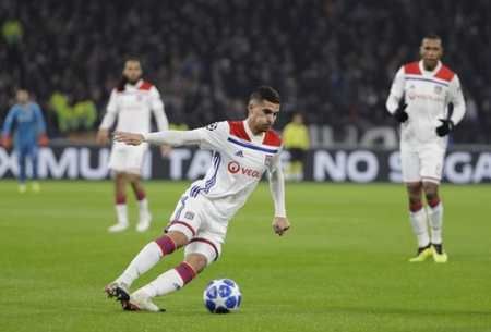 望引进更具 望引进更具